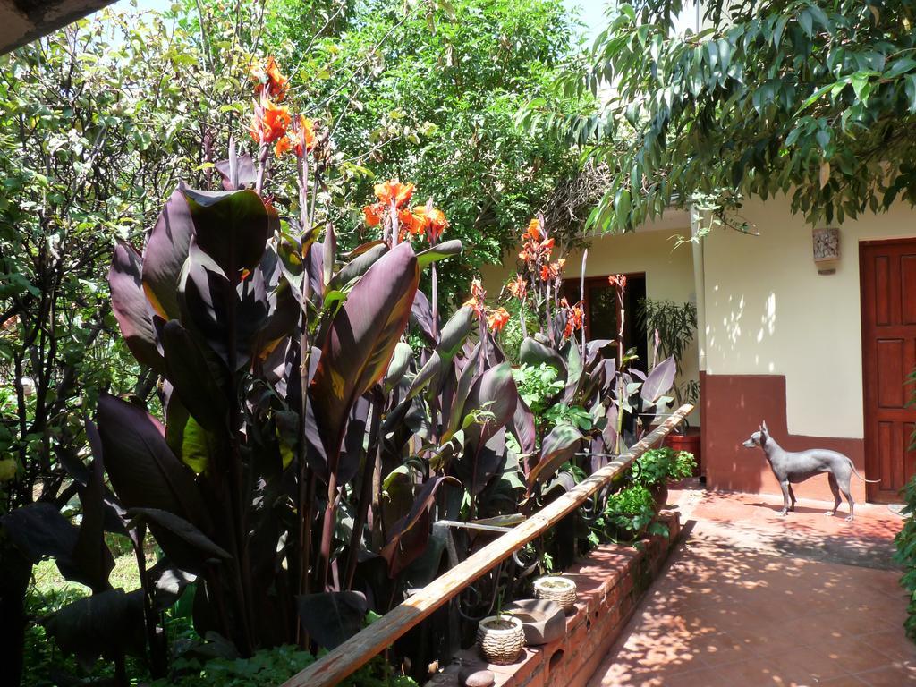 Kukuli Lodge B&B Cusco Ngoại thất bức ảnh